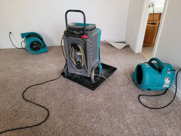 Best Mold removal after water damage  in Warner Robins, GA