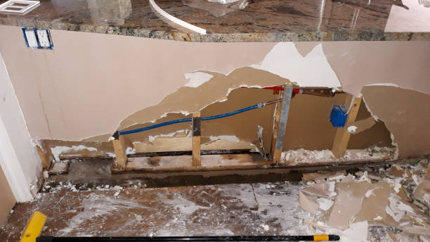 Best Professional water damage repair  in Warner Robins, GA
