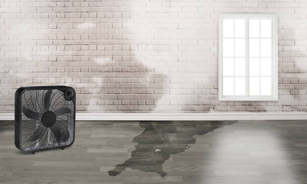 Best Commercial water damage restoration  in Warner Robins, GA