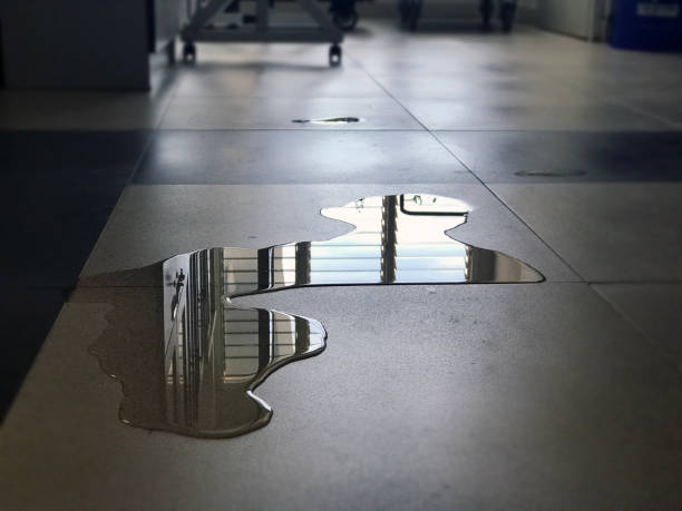 Best Commercial water damage restoration  in Warner Robins, GA