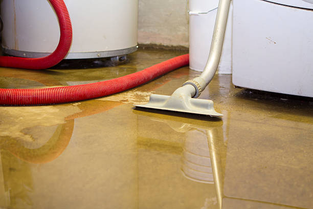  Warner Robins, GA Water damage restoration Pros