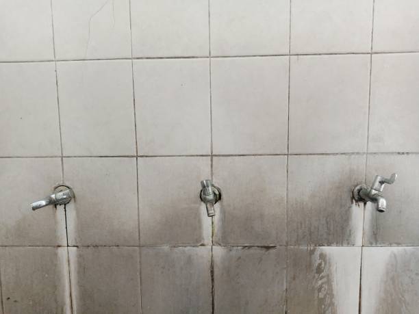 Best Water damage restoration near me  in Warner Robins, GA
