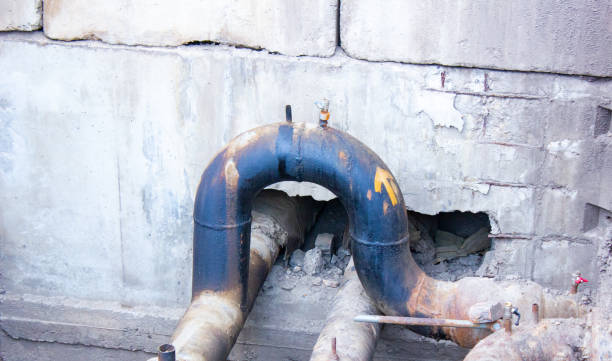 Best Carpet water damage restoration  in Warner Robins, GA