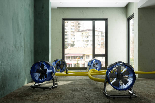 Best Water damage mitigation services  in Warner Robins, GA