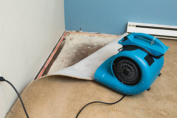 Best Water damage restoration services  in Warner Robins, GA